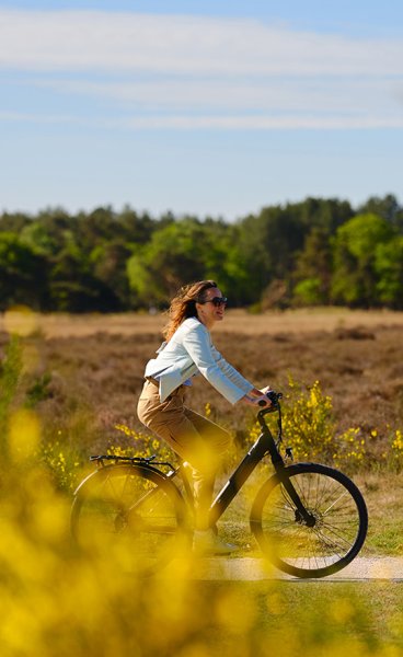 Hilversum Hoorneboegse Heide met dame op de fiets